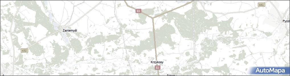 Murzynowiec Leśny